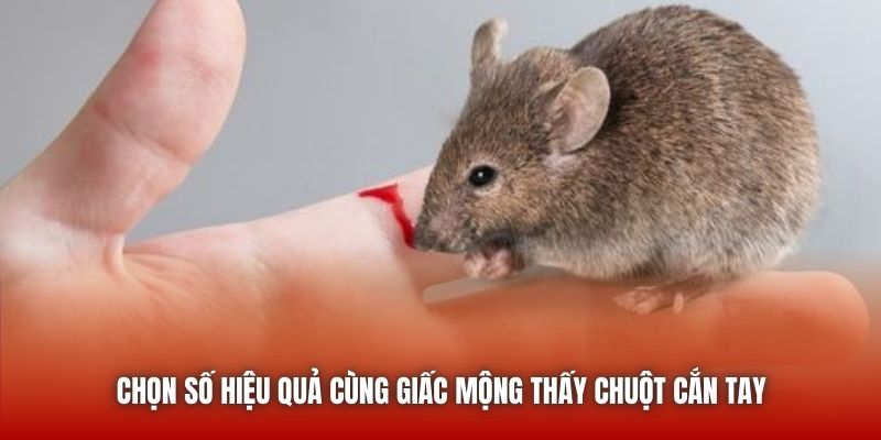 Chọn số hiệu quả cùng giấc mộng thấy chuột cắn tay