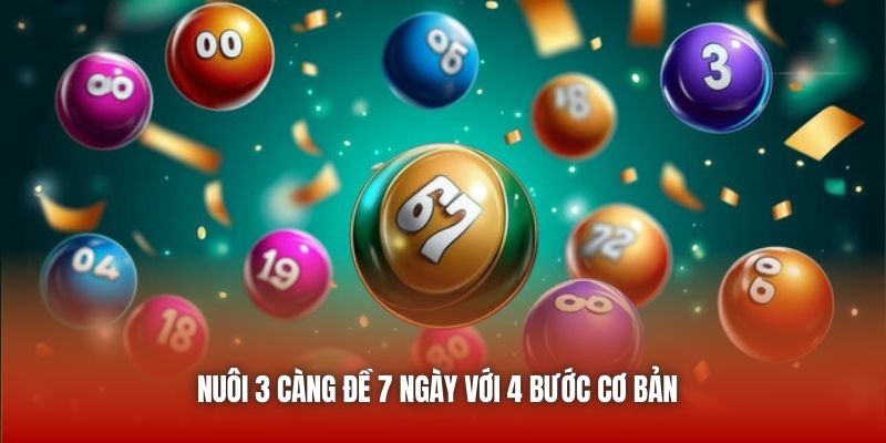 Nuôi 3 càng đề khung 7 ngày với 4 bước cơ bản