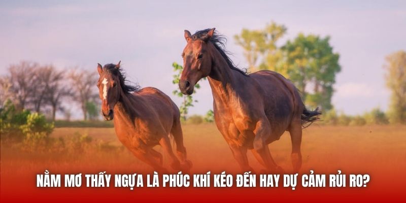 Nằm mơ thấy ngựa là phúc khí kéo đến hay dự cảm rủi ro?
