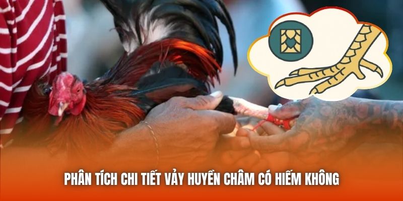 Phân tích chi tiết vảy huyền châm có hiếm không