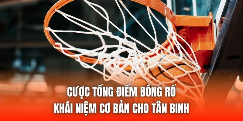 Cược Tổng Điểm Bóng Rổ | Khái Niệm Cơ Bản Cho Tân Binh