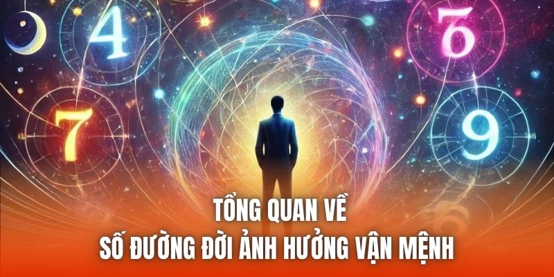 Tổng quan về số đường đời ảnh hưởng vận mệnh